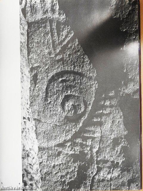 Ancient Art of the Amur Region