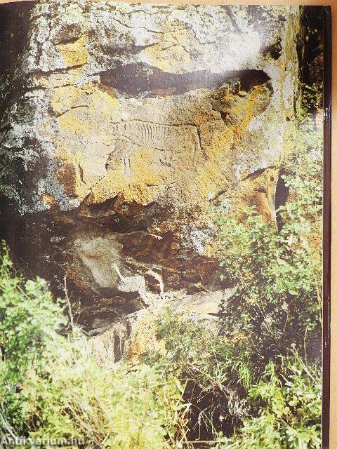 Ancient Art of the Amur Region