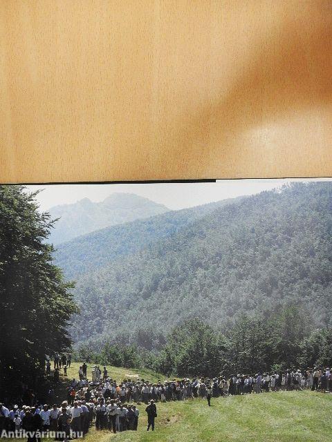 La Valdarda nelle sue stagioni