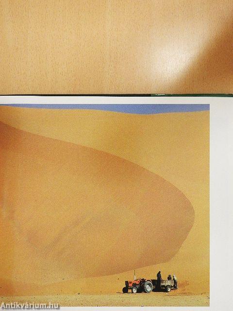 Visages de l'Algérie