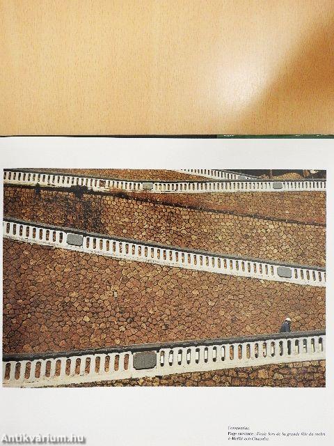 Visages de l'Algérie