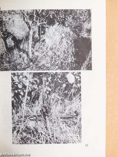 Halottaink 1956 I-II.