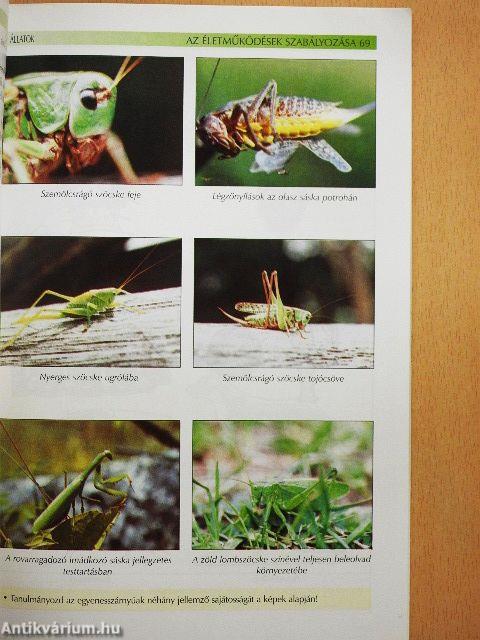 Állatok és növények