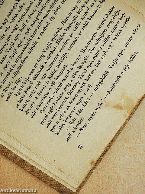 Hol volt hol nem volt