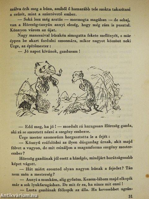 Hol volt hol nem volt