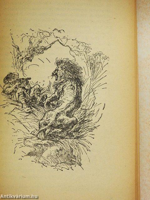 Vadászkalandok Afrikában