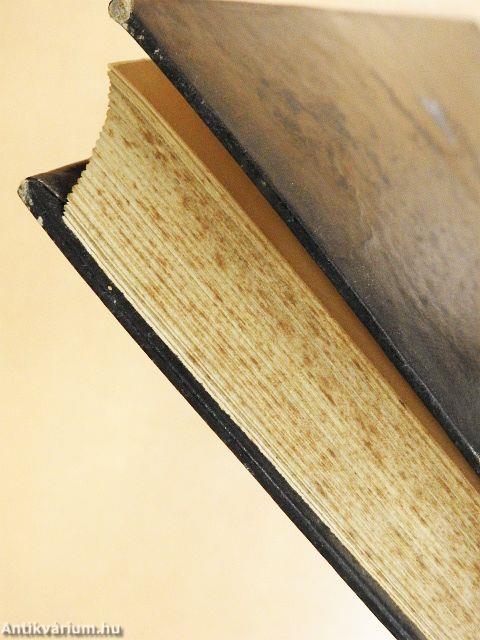 Fényképészmester könyve