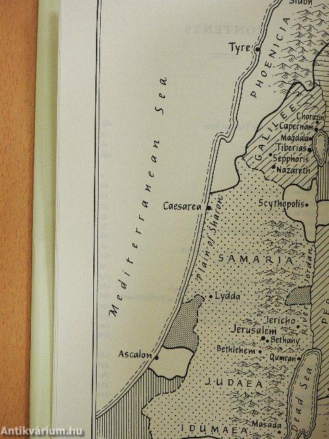 The Historical Figure of Jesus