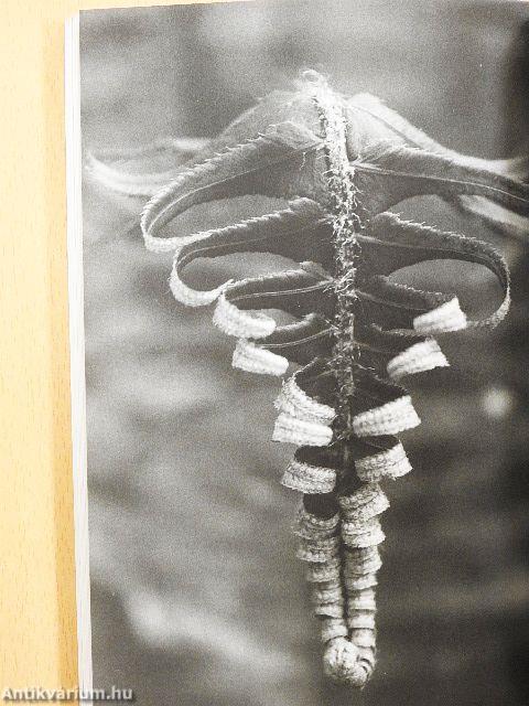 Sokévnyi együttlét után