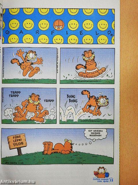 Garfield 2008/4. április