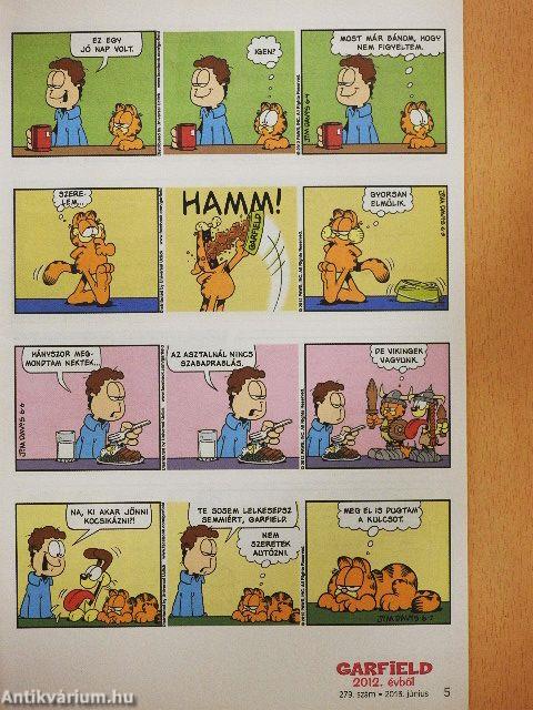 Garfield 2013. június