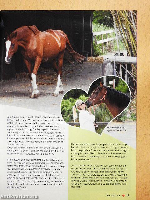 Pony 2011/1.