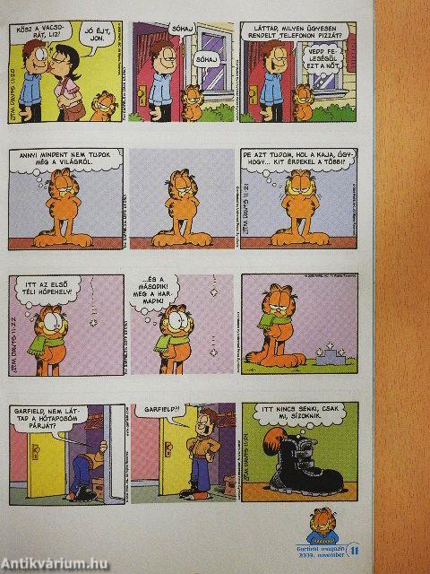 Garfield 2009/11. november