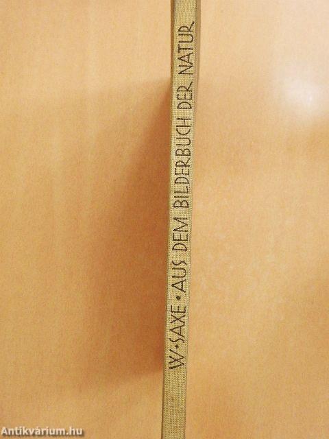 Aus dem Bilderbuch der Natur