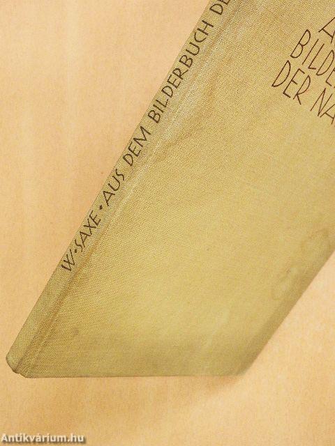 Aus dem Bilderbuch der Natur