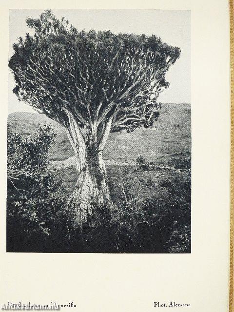 Aus dem Bilderbuch der Natur