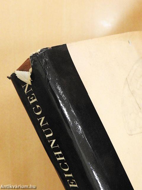 Hans Holbein d. J. - Zeichnungen