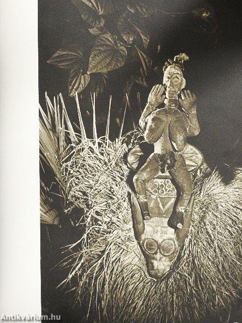 Kunst ferner Länder