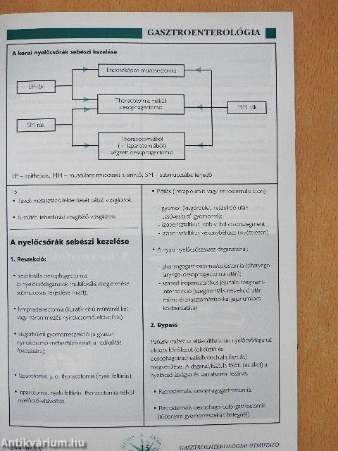 Gasztroenterológiai Útmutató 2004