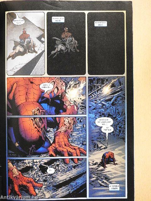 A hihetetlen Pókember 2007. november