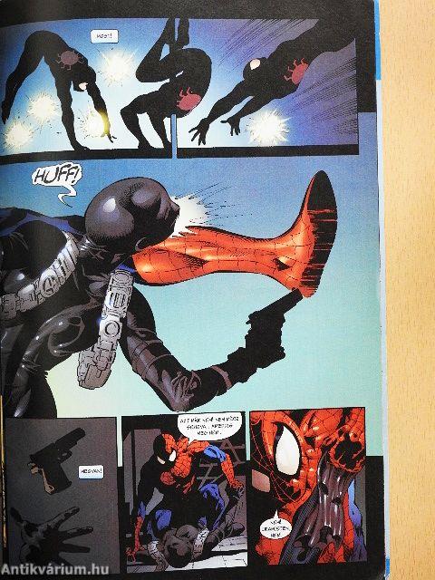 A hihetetlen Pókember 2007. november