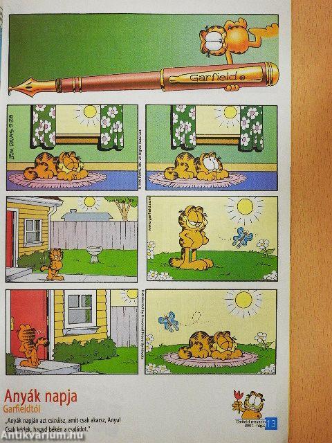 Garfield 2007/5. május