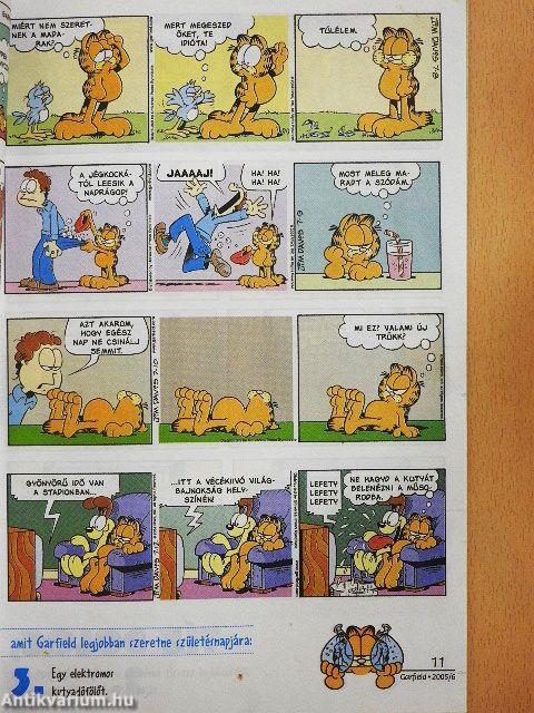 Garfield 2005/6. június