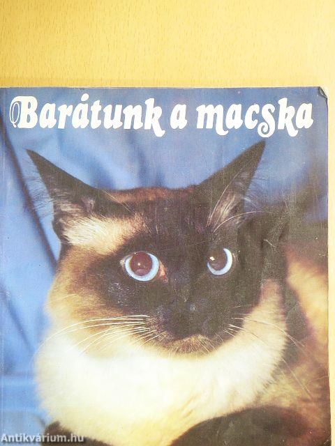 Barátunk a macska