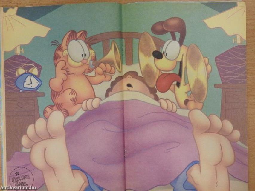 Garfield 1992/11. november