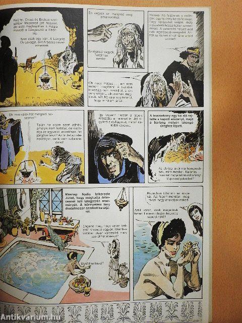 Pompei utolsó napjai