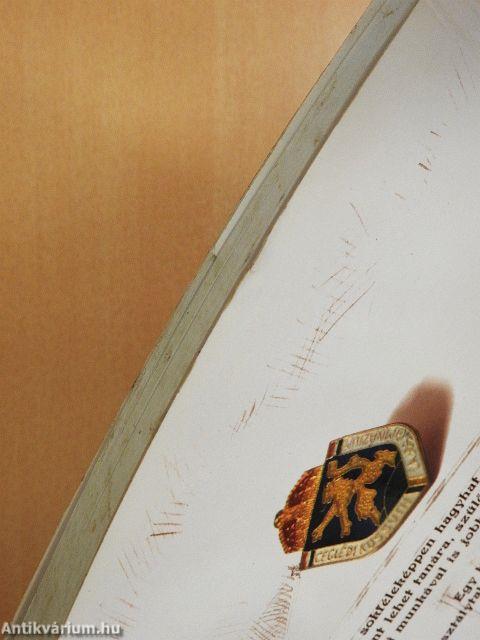 Tablók könyve 1907-2012