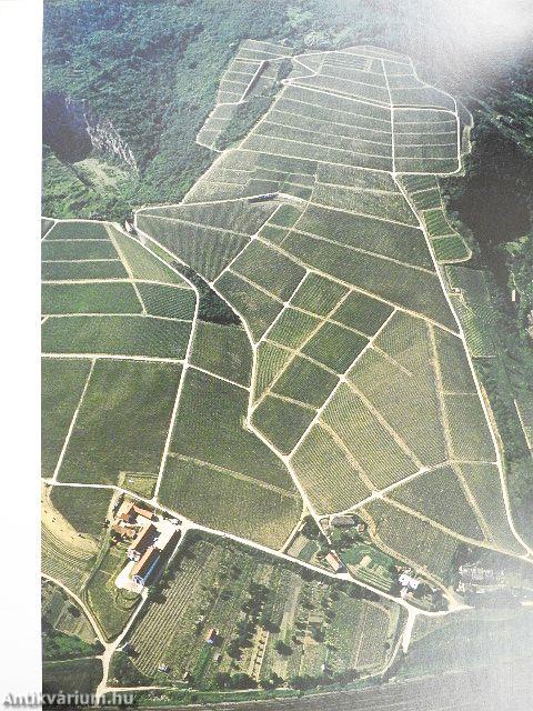 Magyarország kulturális öröksége Georg Gerster légi felvételein