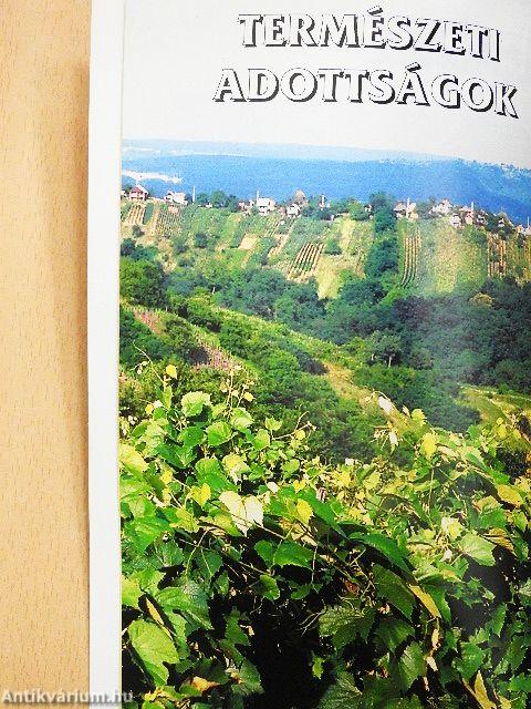 Barangolás zalai tájakon