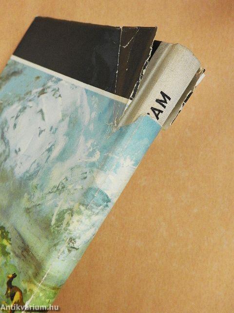 Csillagokkal takaróztam