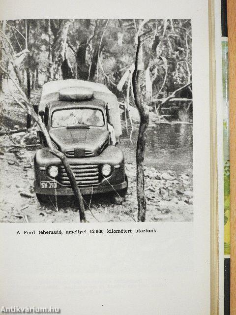 Csillagokkal takaróztam