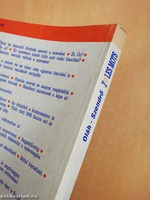 Képes francia-magyar szótár