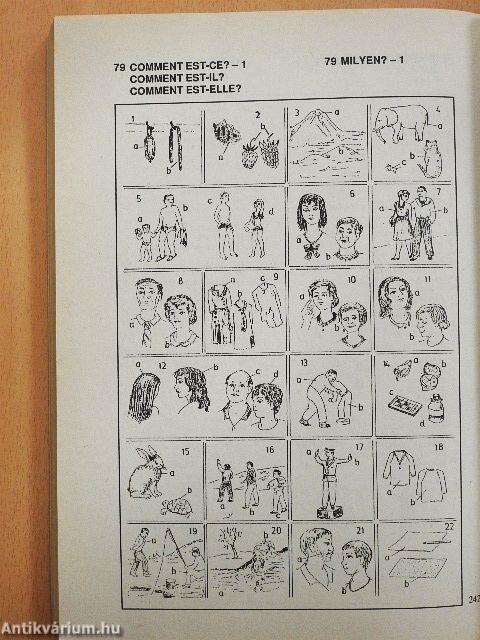 Képes francia-magyar szótár