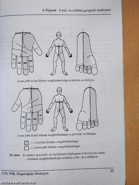 A Su Jok magterápiás módszere