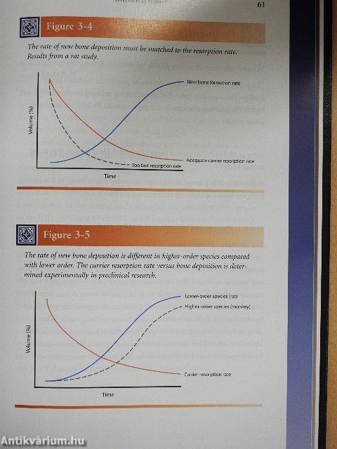 The Science of rhBMP-2