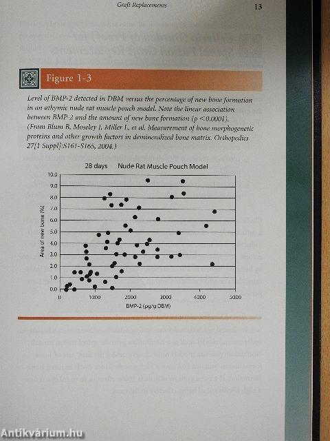 The Science of rhBMP-2