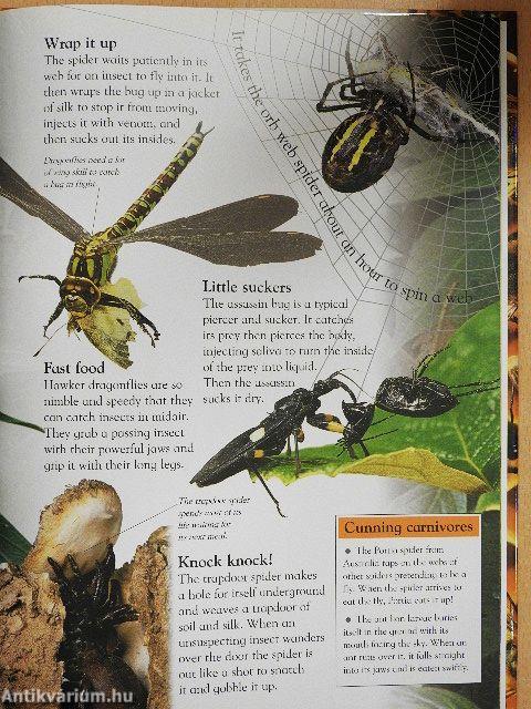 Bugs