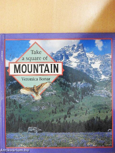 Take a square of Mountain