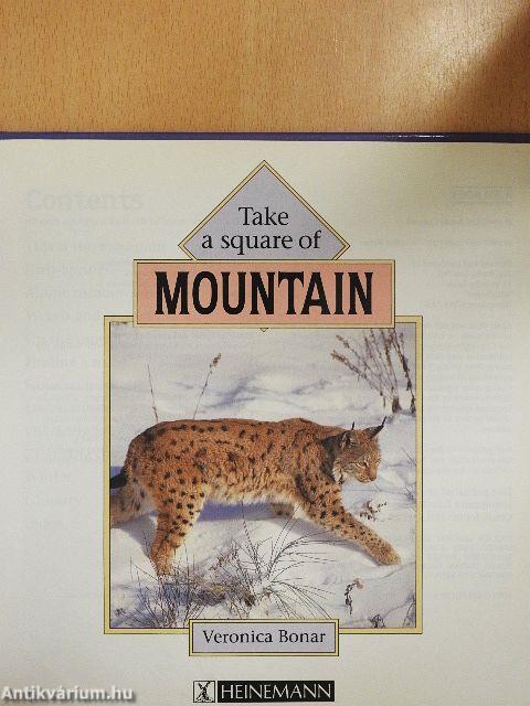 Take a square of Mountain