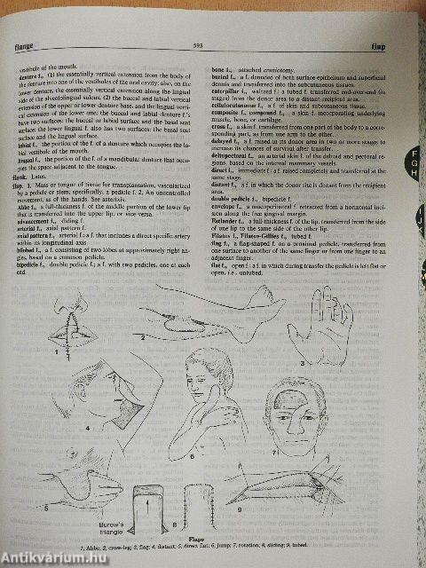 Stedman's Medical Dictionary