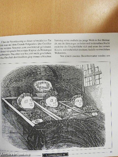 Mörderisches Wien