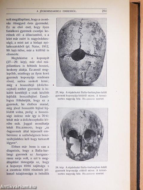 Természettudományi Közlöny 1912. január-december/Pótfüzetek a Természettudományi Közlönyhöz 1912. január-december