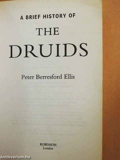 A Brief History of the Druids