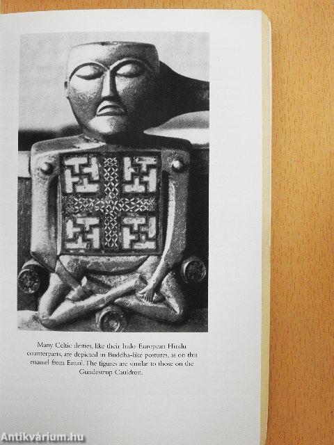 A Brief History of the Druids