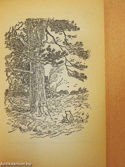 The House at Pooh Corner