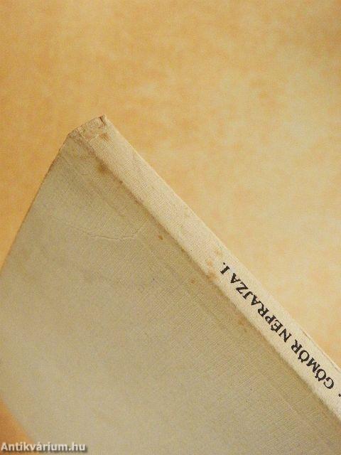 Gömör néprajza I.